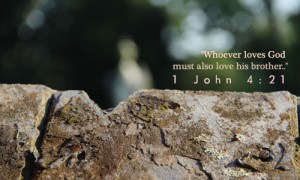 1 John 4.21