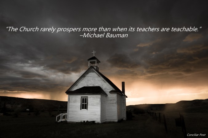 Bauman Quote about the Church