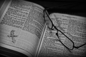 5412402719_dd480f8ca2_o