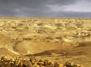 wilderness-of-judea